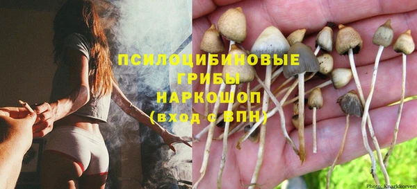 МДПВ Беломорск