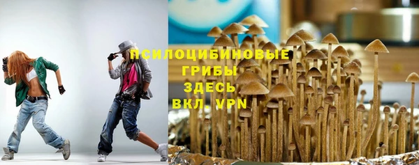 МДПВ Беломорск